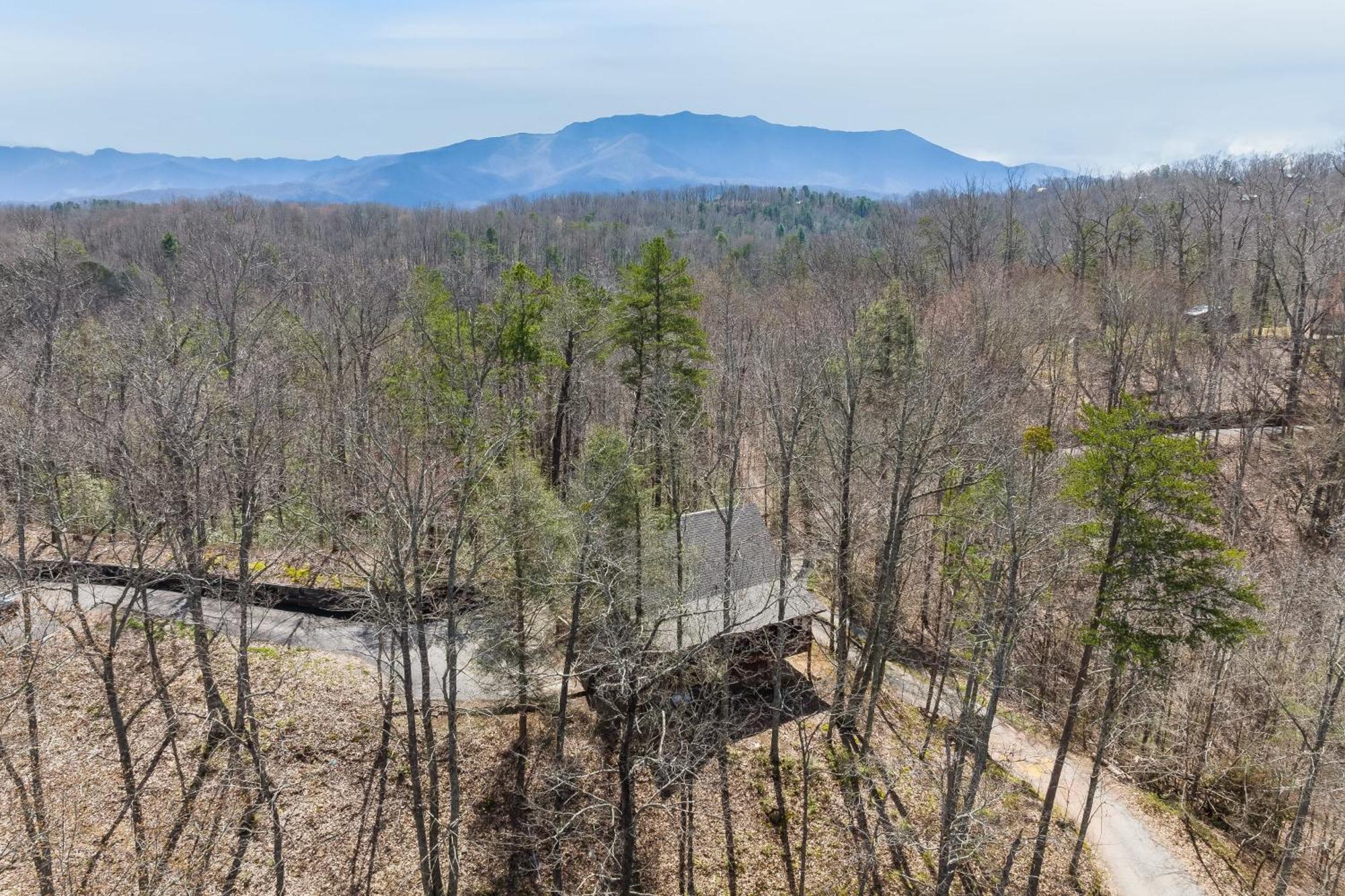 Dudley II By Avantstay Comfortable Cabin W Hot Tub Views Pigeon Forge Buitenkant foto